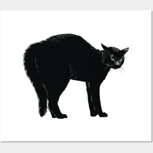 Black Cat Arch Posters and Art